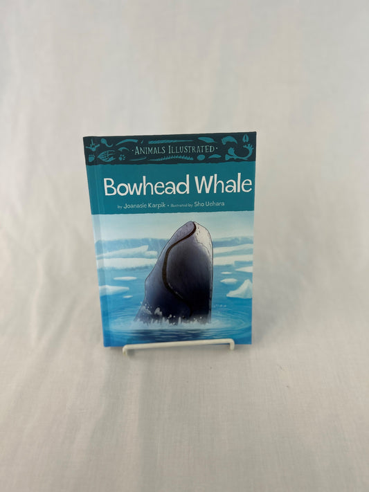 Bowhead Whale