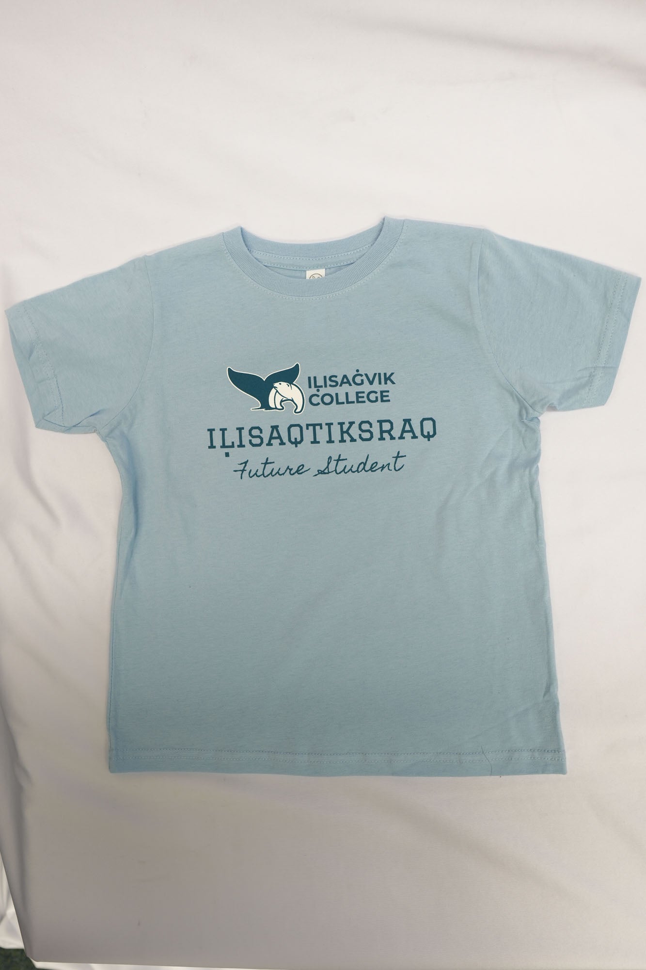 Blue Toddler Tee Shirt