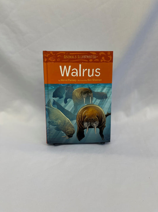 Walrus: Animal Illustrated